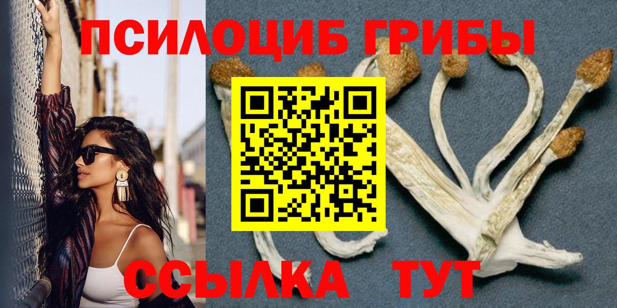 Удомля  Псилоцибиновые грибы GOLDEN TEACHER  Вход с VPN 