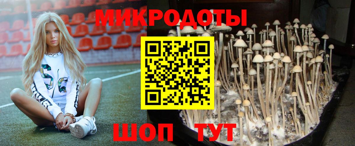 Псилоцибиновые грибы MAGIC MUSHROOMS Удомля
